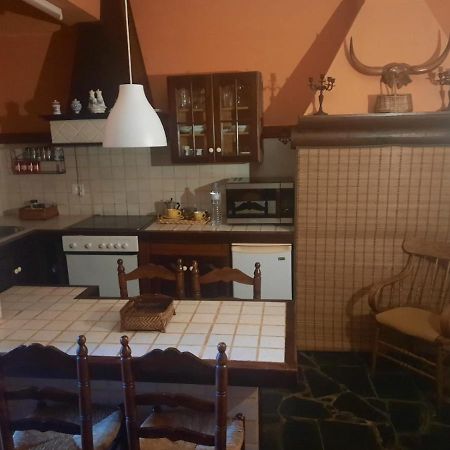 Loft Green Lägenhet La Laguna  Exteriör bild