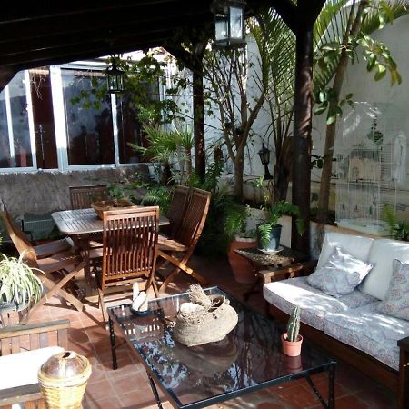 Loft Green Lägenhet La Laguna  Exteriör bild
