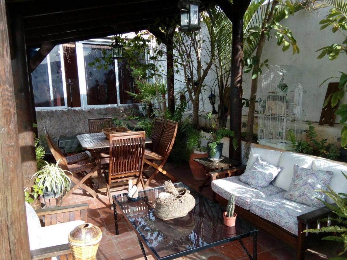 Loft Green Lägenhet La Laguna  Exteriör bild